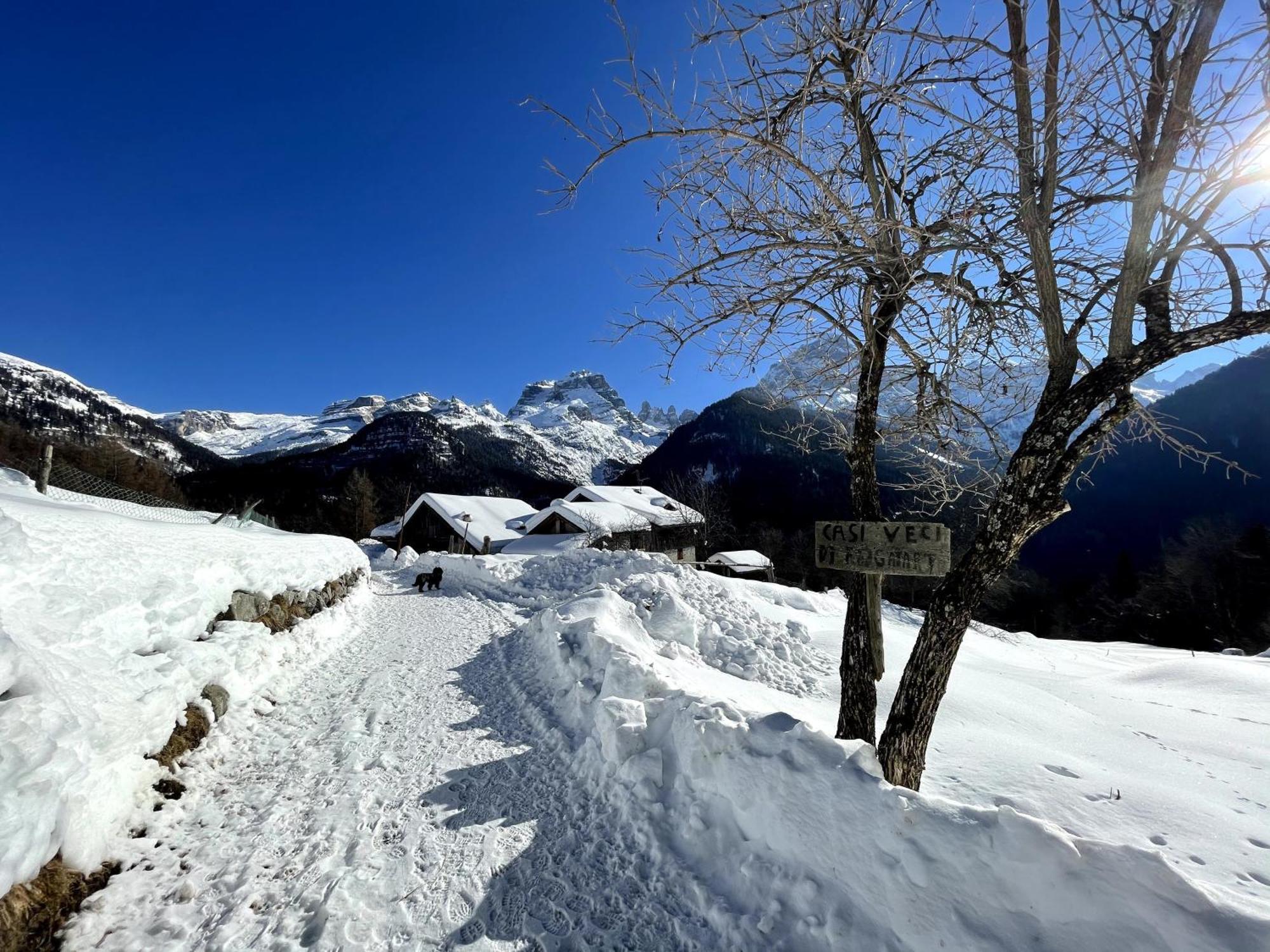 Villa Alpina Campiglio Madonna Esterno foto