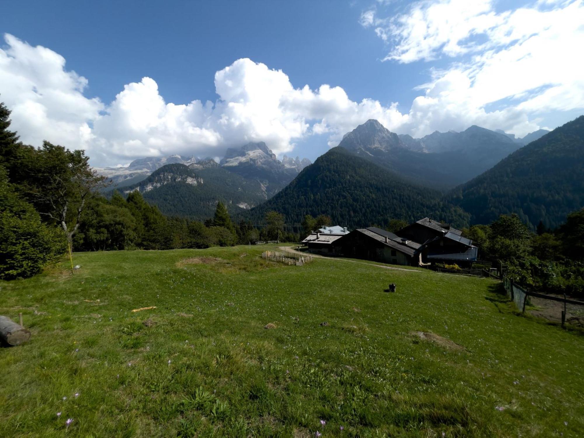 Villa Alpina Campiglio Madonna Esterno foto