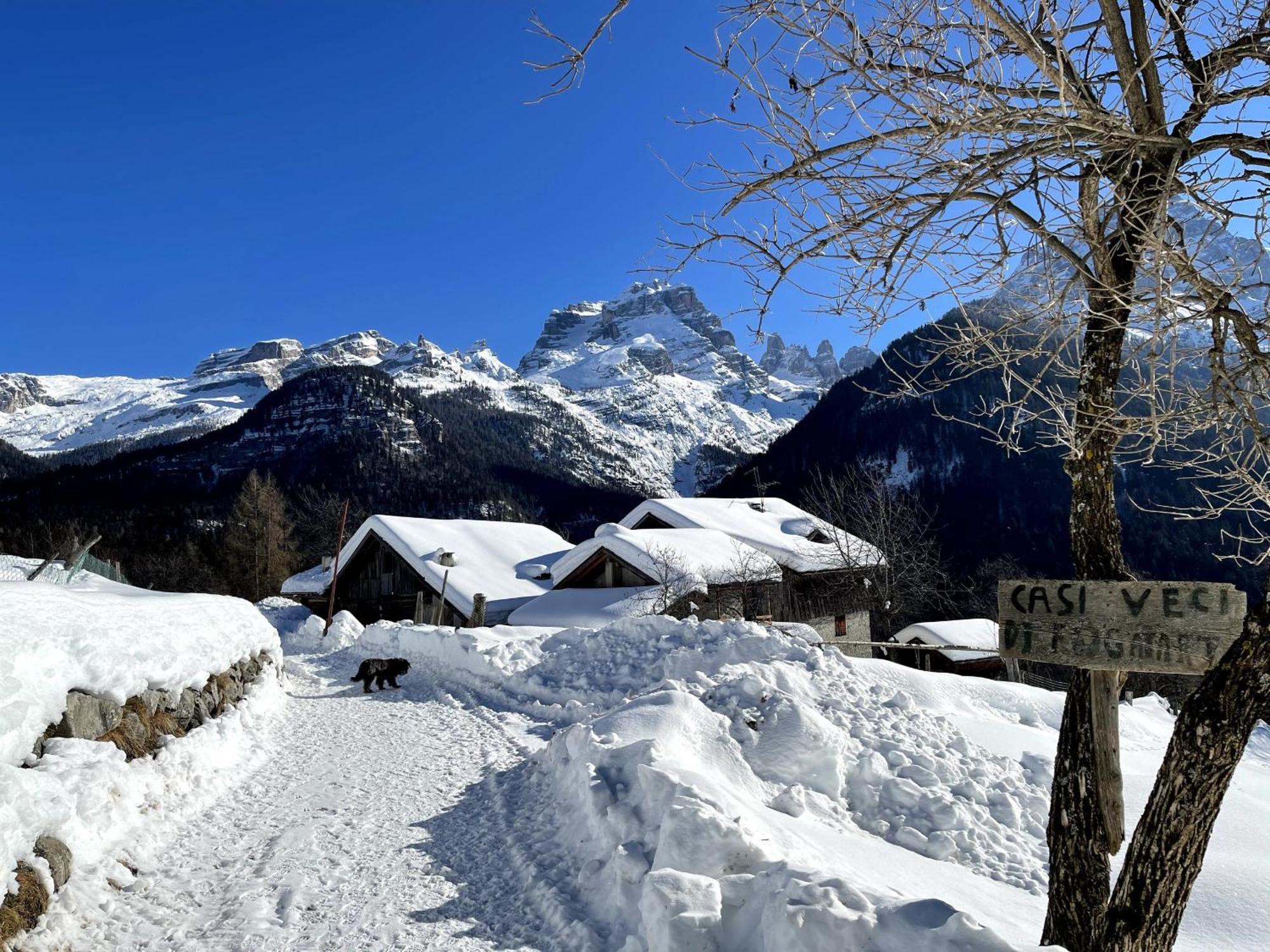 Villa Alpina Campiglio Madonna Esterno foto