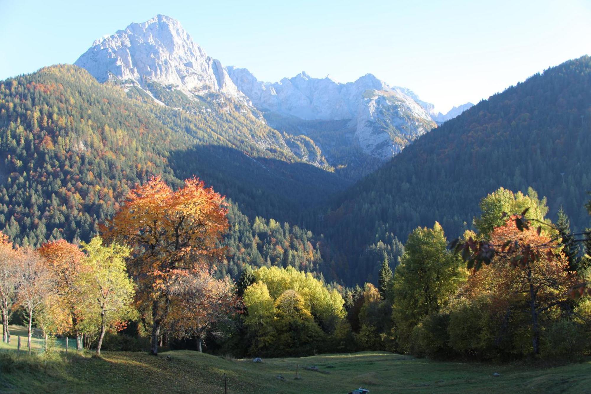 Villa Alpina Campiglio Madonna Esterno foto