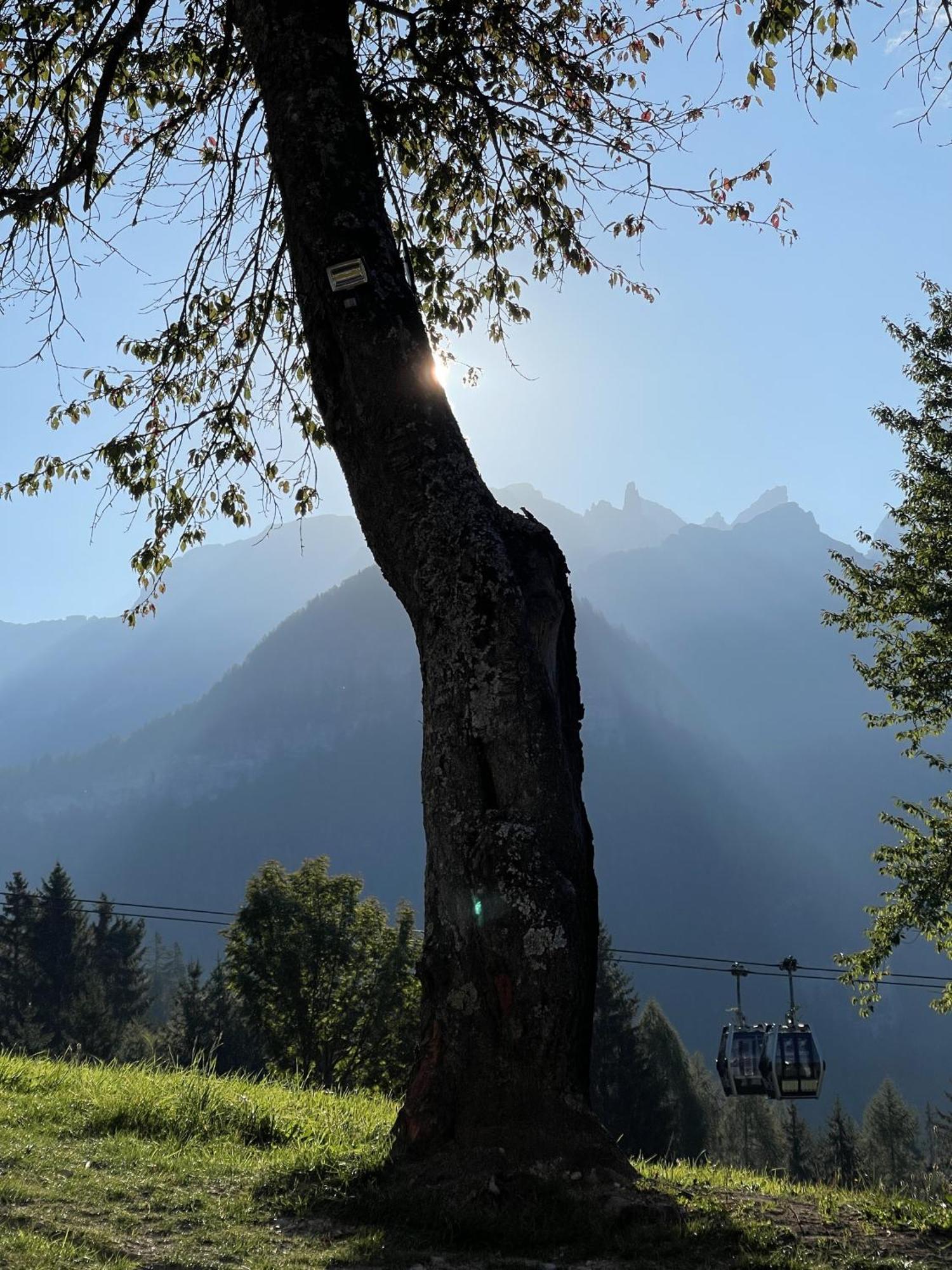 Villa Alpina Campiglio Madonna Esterno foto