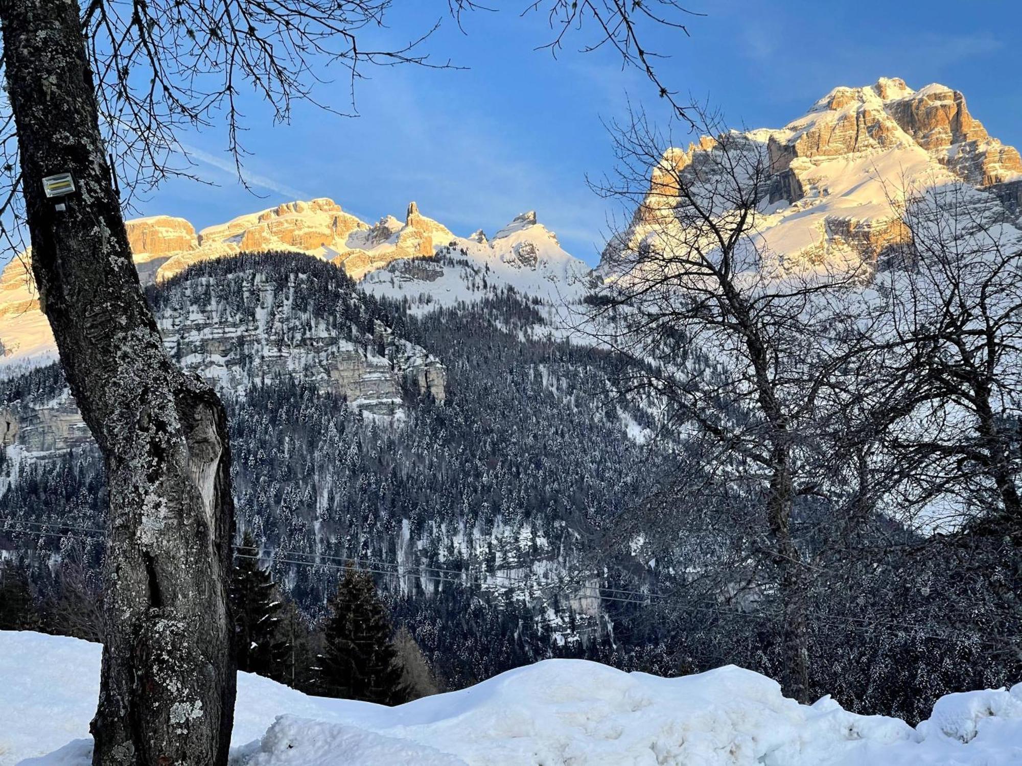 Villa Alpina Campiglio Madonna Esterno foto