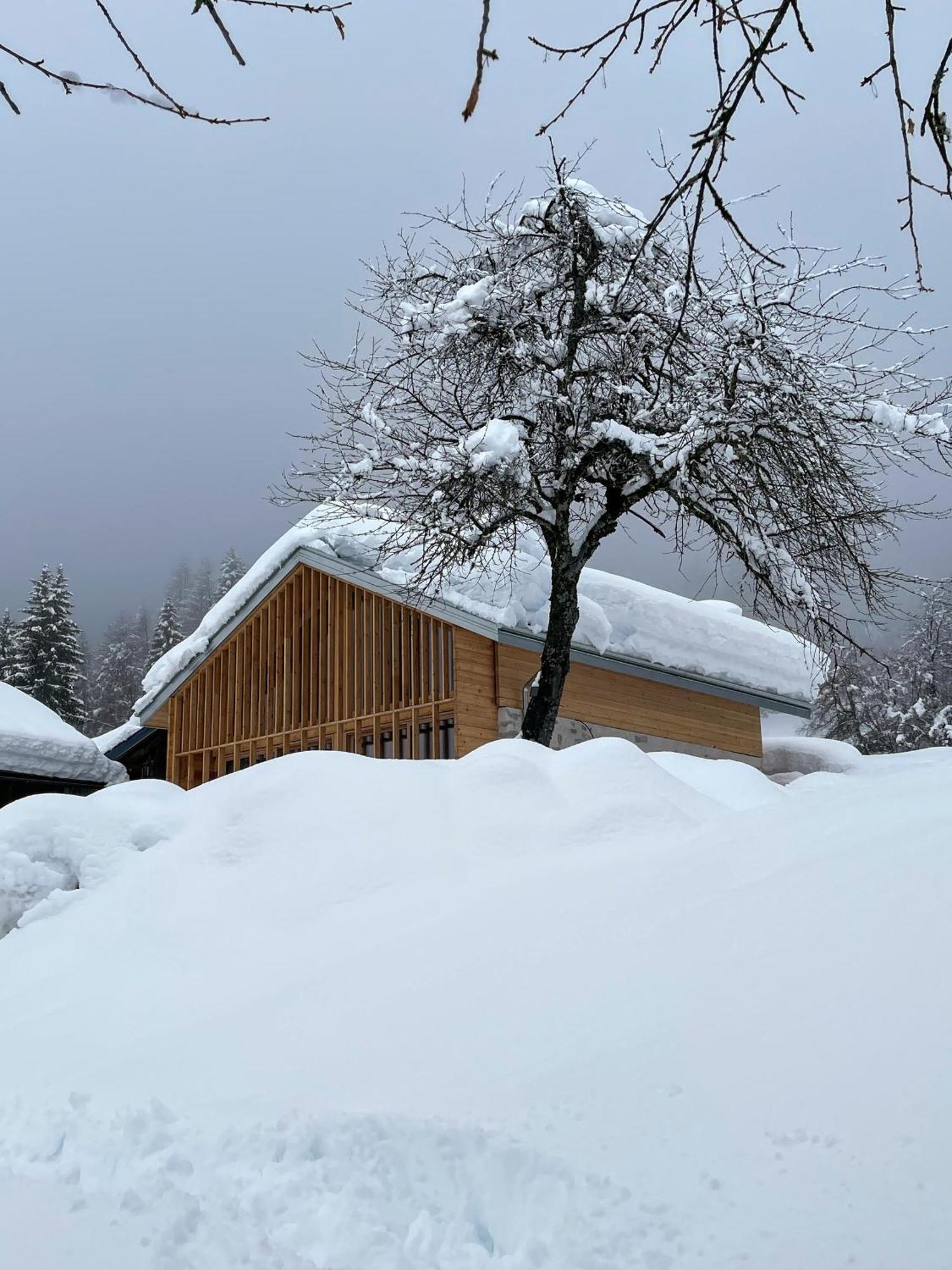 Villa Alpina Campiglio Madonna Esterno foto